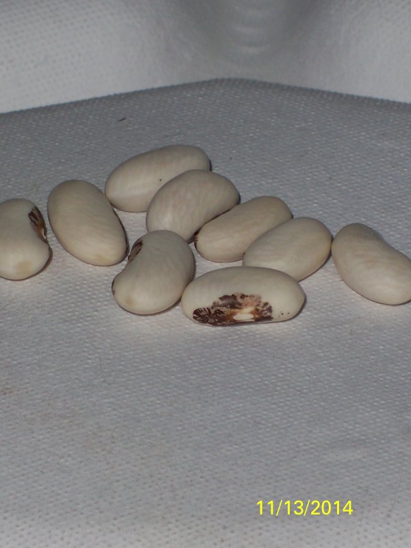 100_5018.JPG
