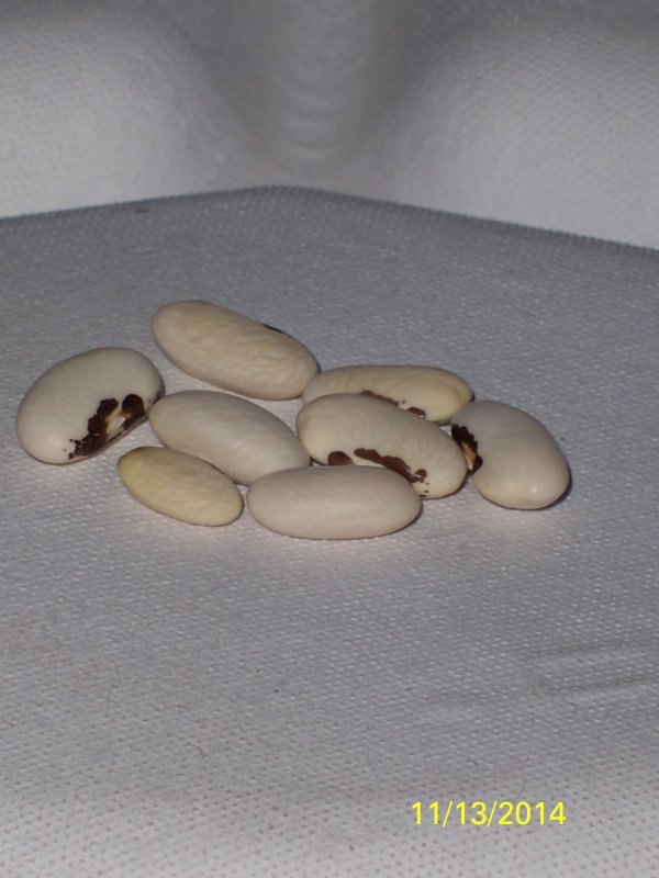 100_5019.JPG