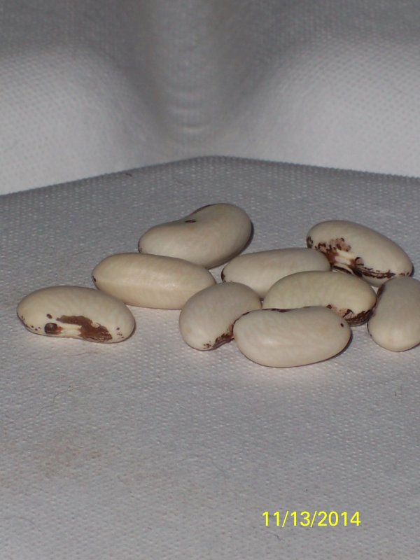 100_5020.JPG
