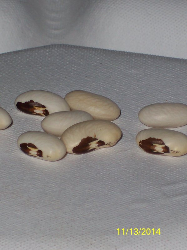 100_5024.JPG