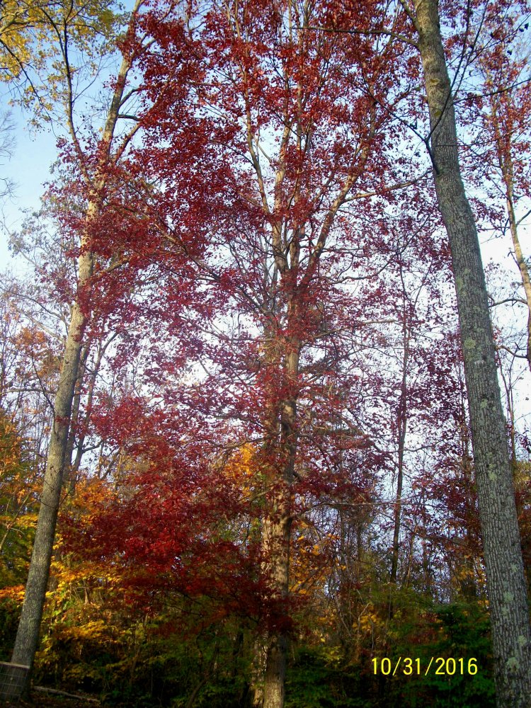 100_5155.jpg