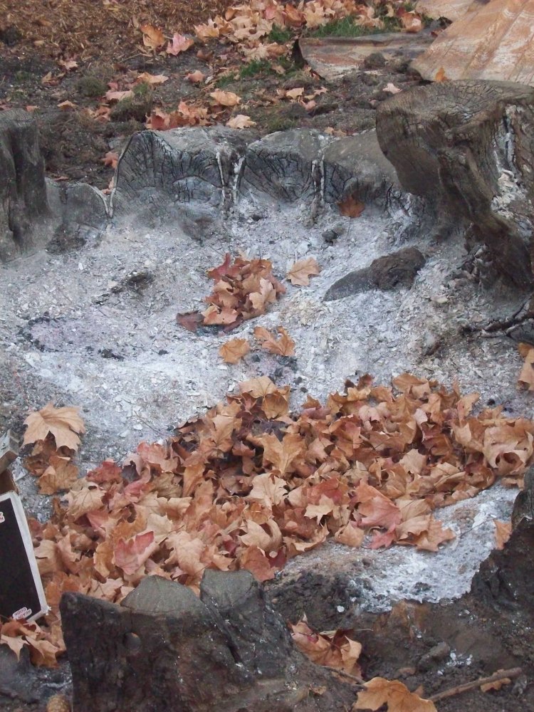 100_5323.JPG