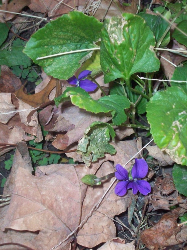 100_5326.JPG