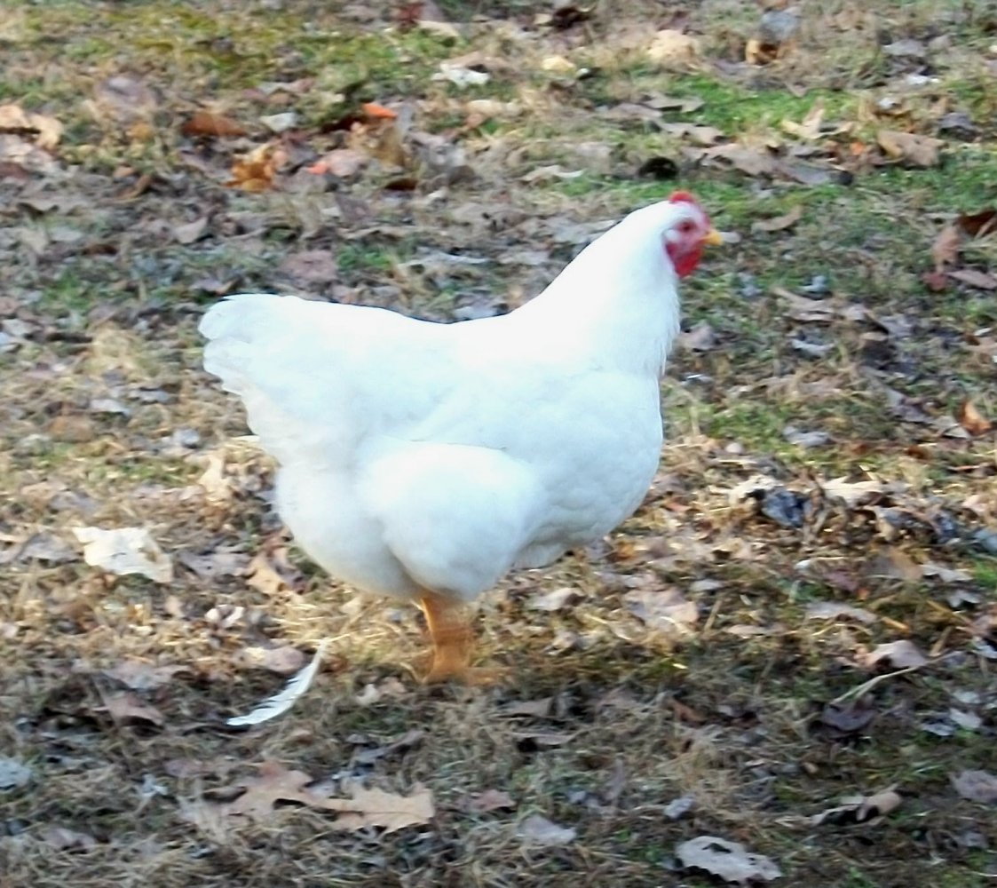 100_5346.jpg