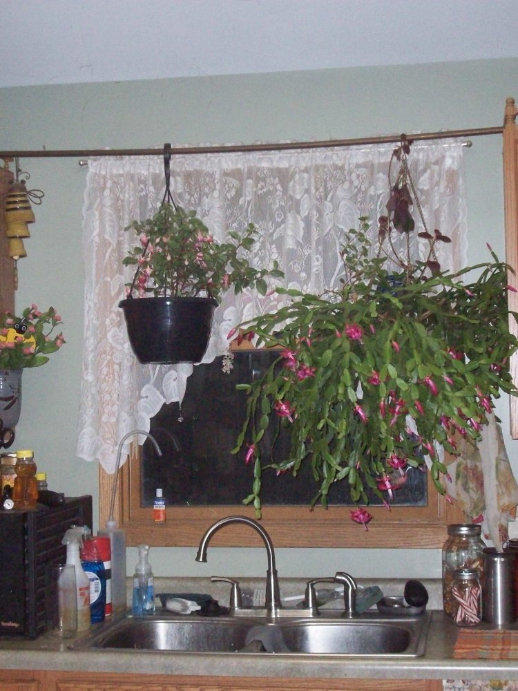100_5439.JPG