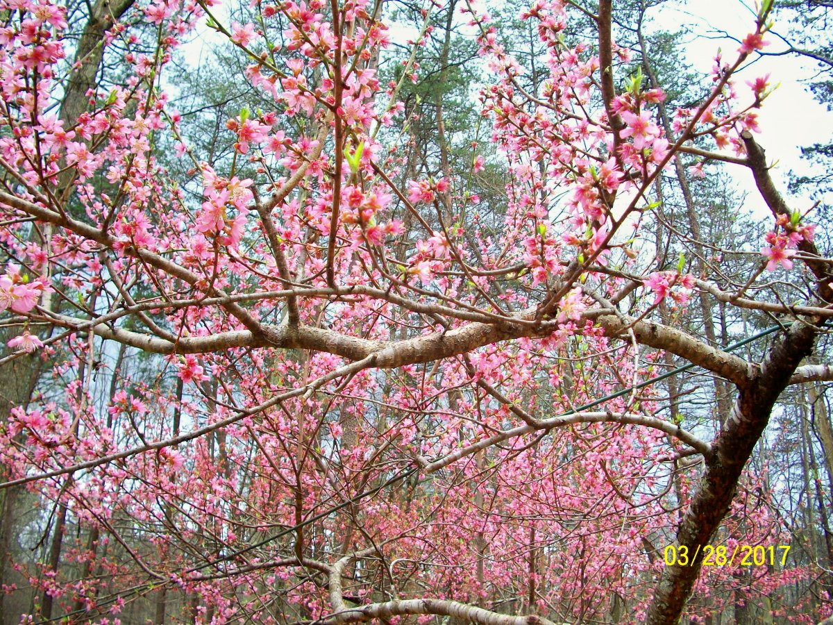 100_5547.jpg