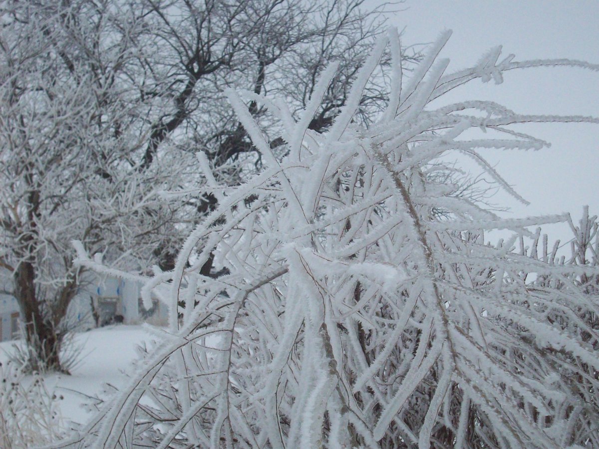 100_5558.JPG