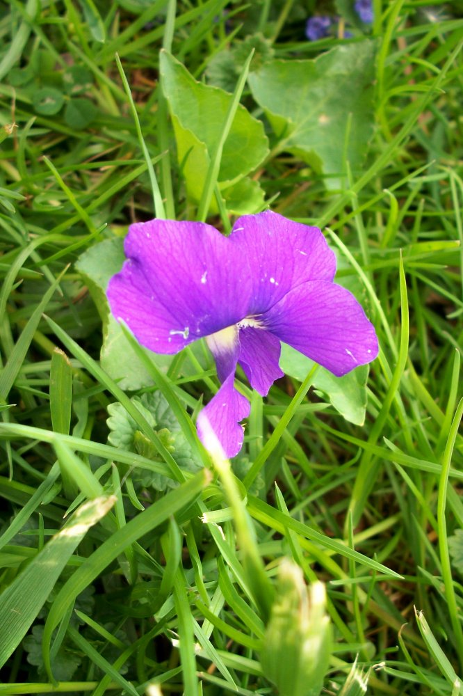 100_5567.jpg