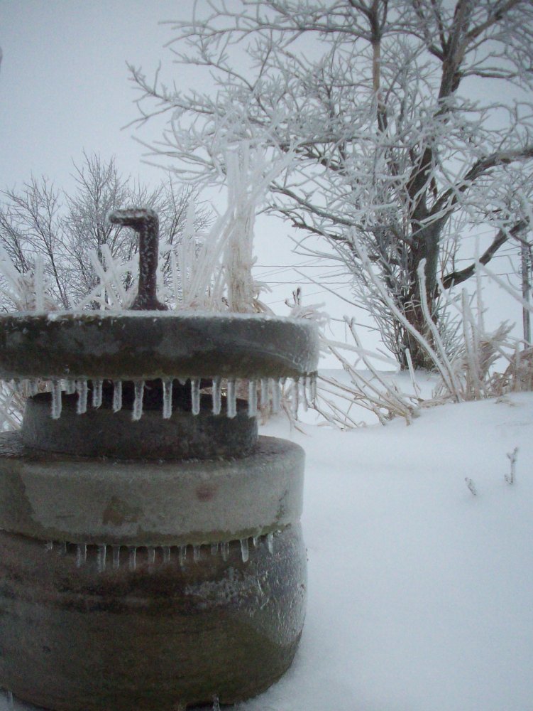 100_5574.JPG