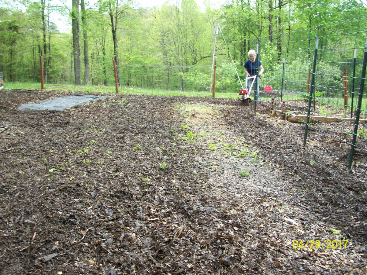 100_5576.jpg