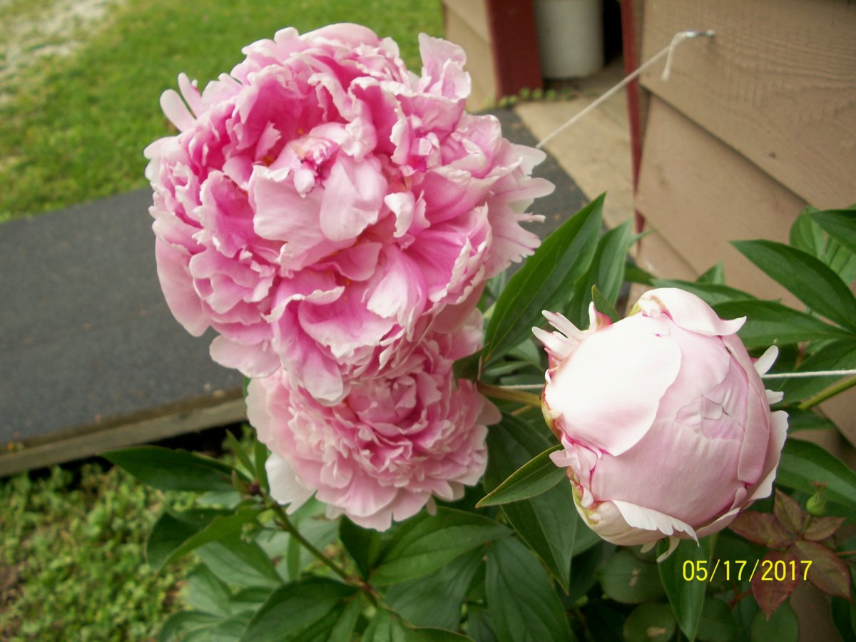 100_5621.jpg