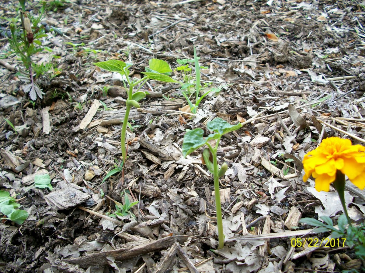100_5639.jpg
