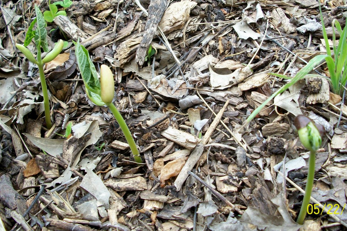 100_5640.jpg