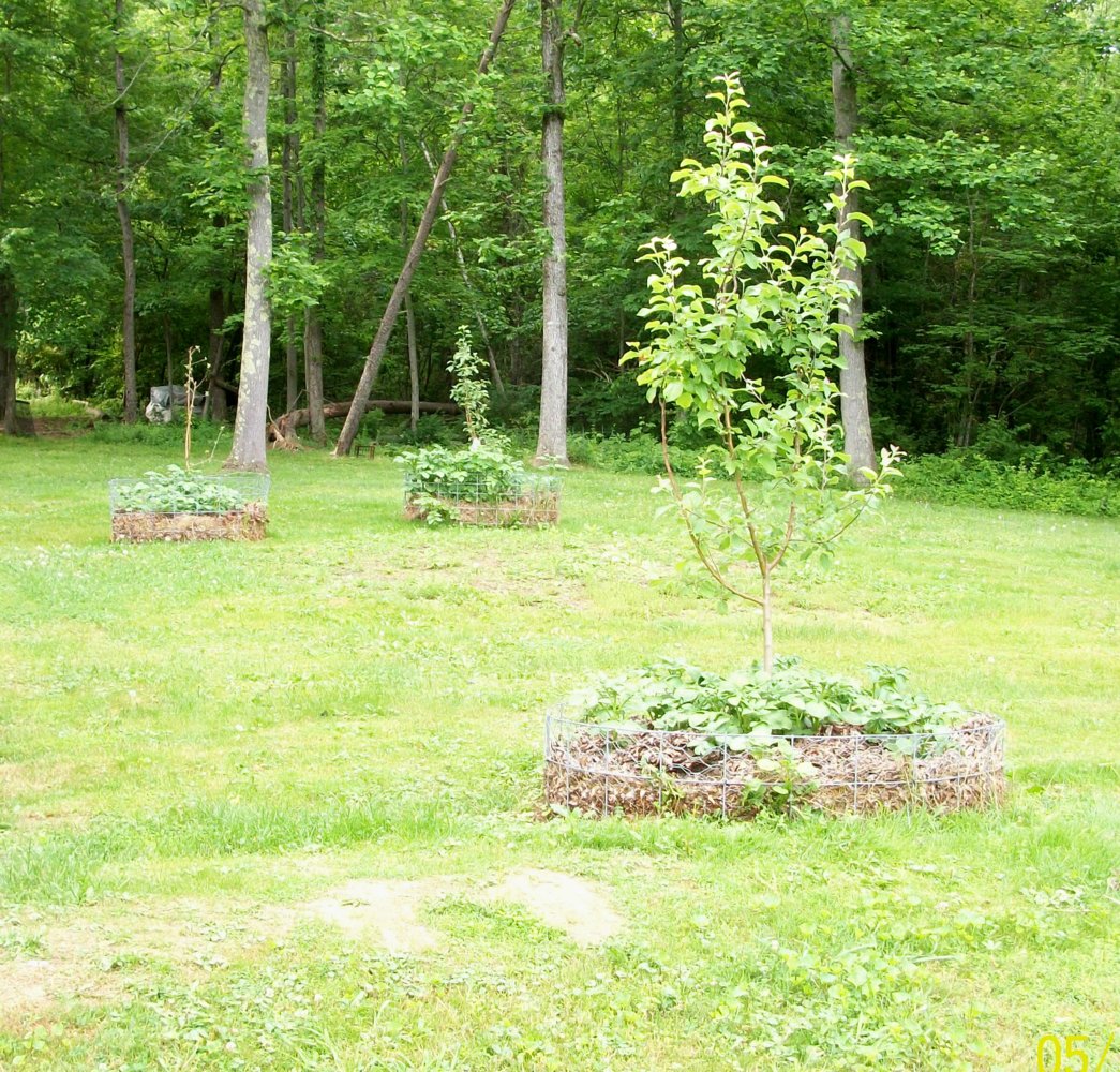 100_5644.jpg