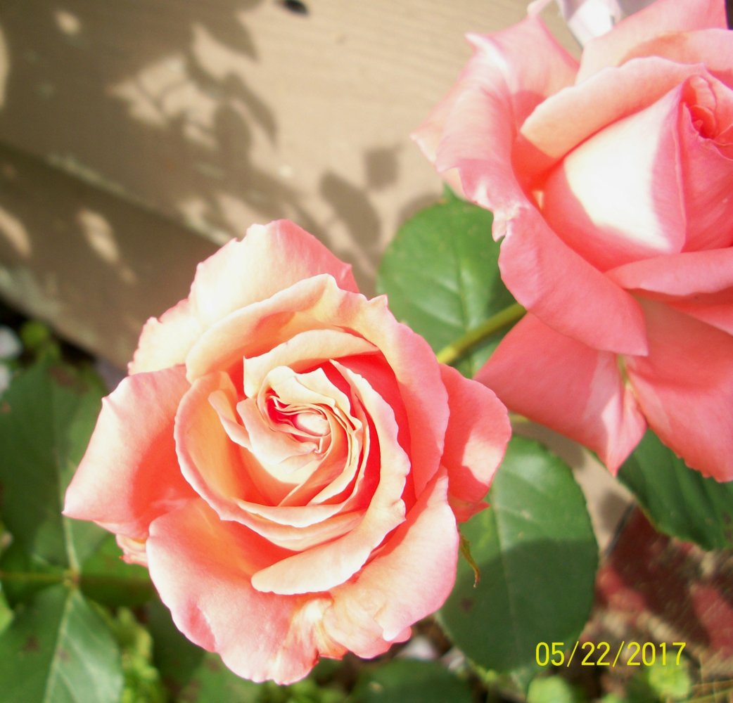 100_5647.jpg