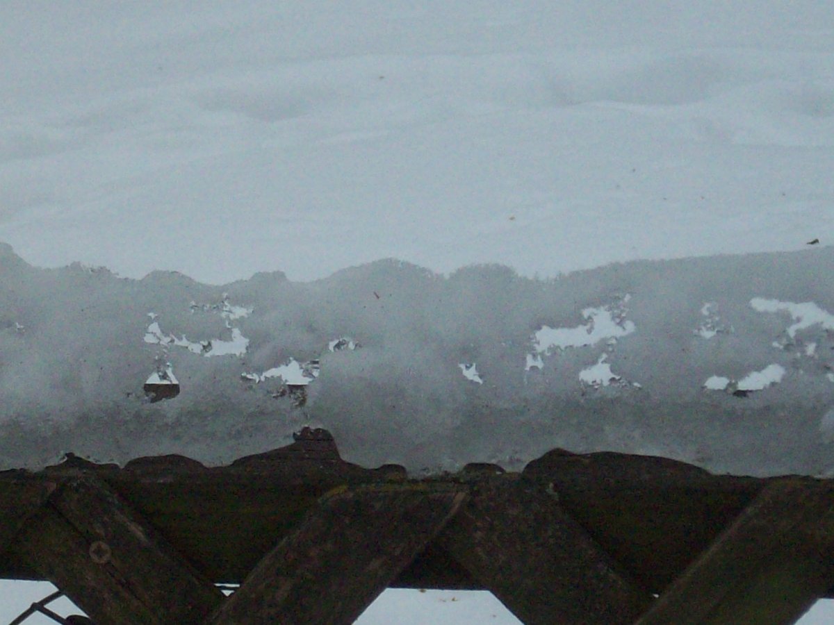 100_5800.JPG
