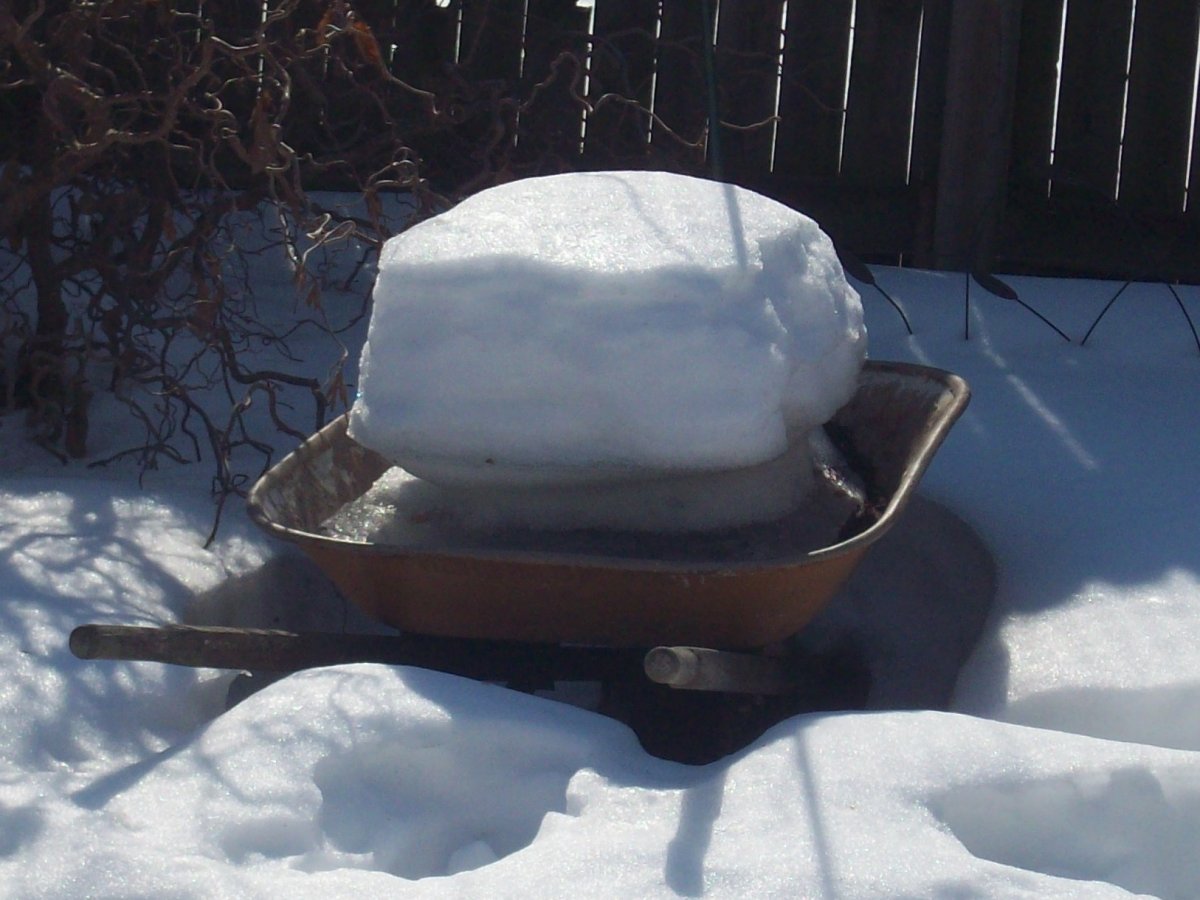 100_5814.JPG