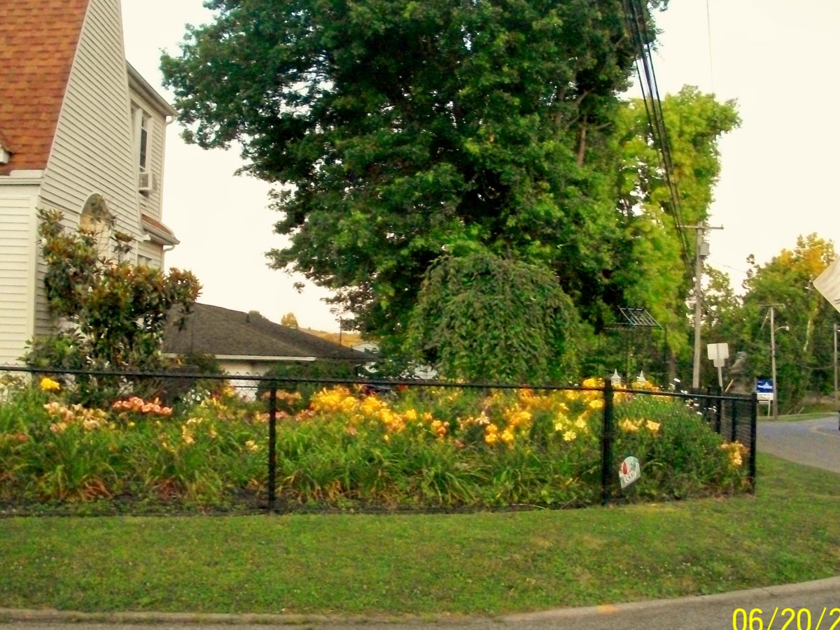 100_5822.JPG