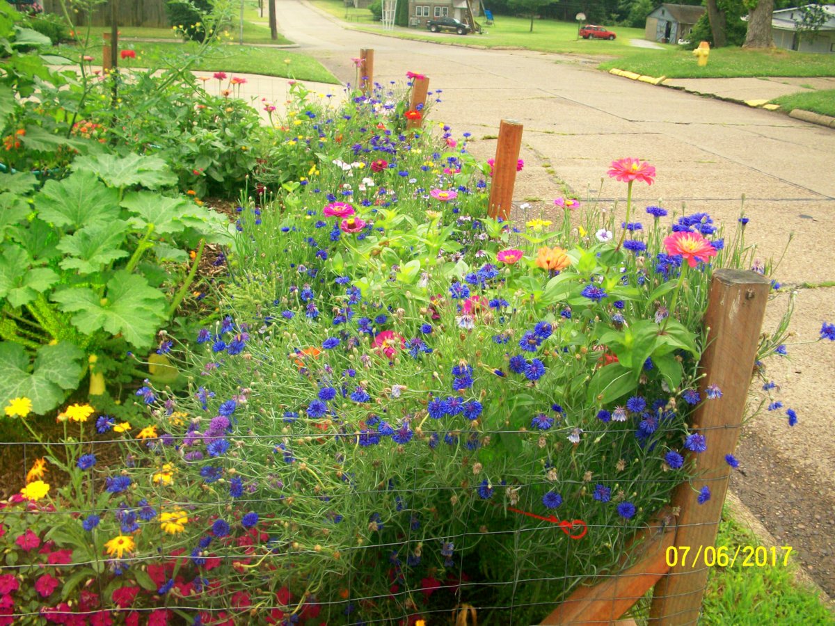 100_5908-jpg.20636