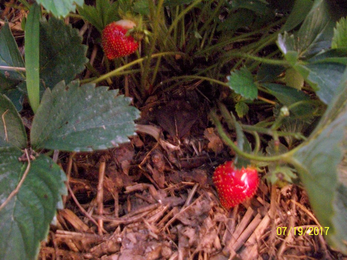 100_5935.JPG