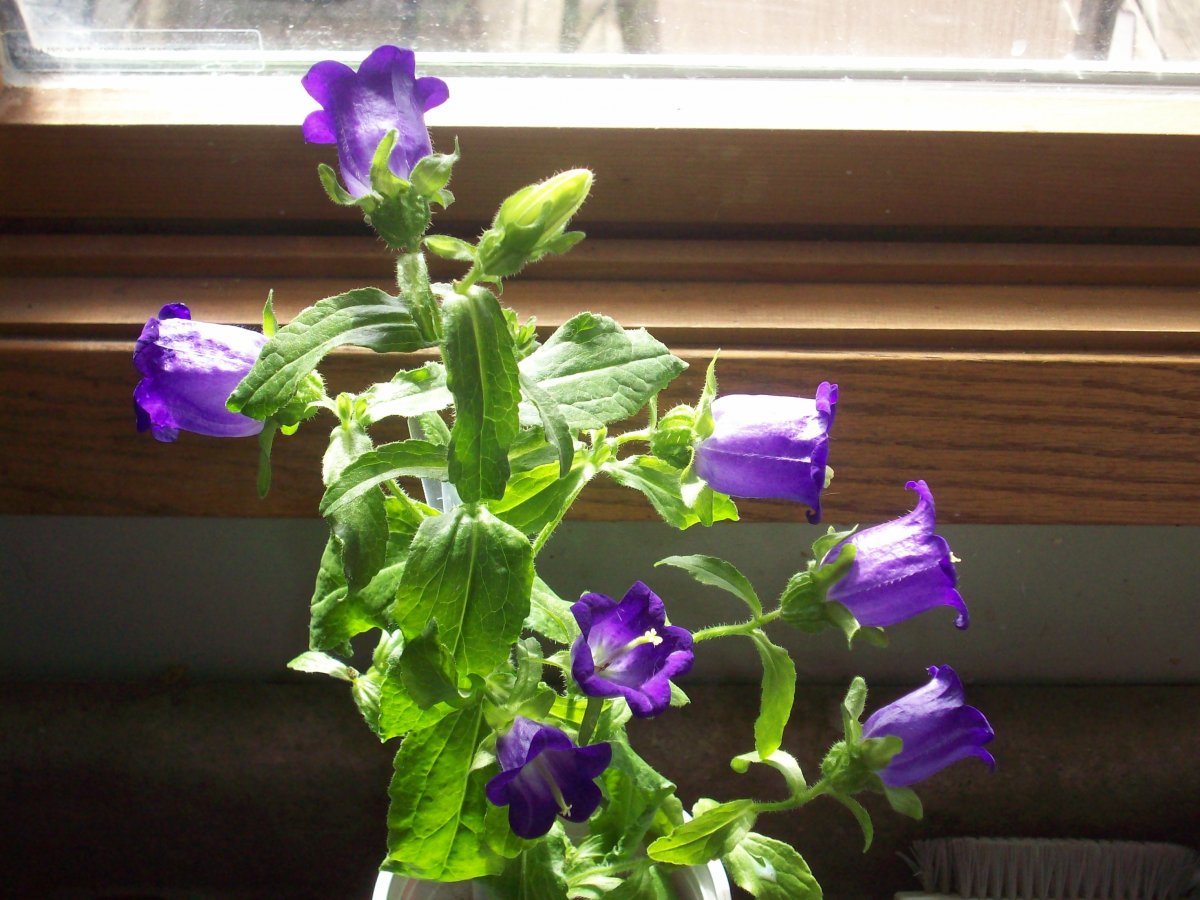 100_5939.JPG