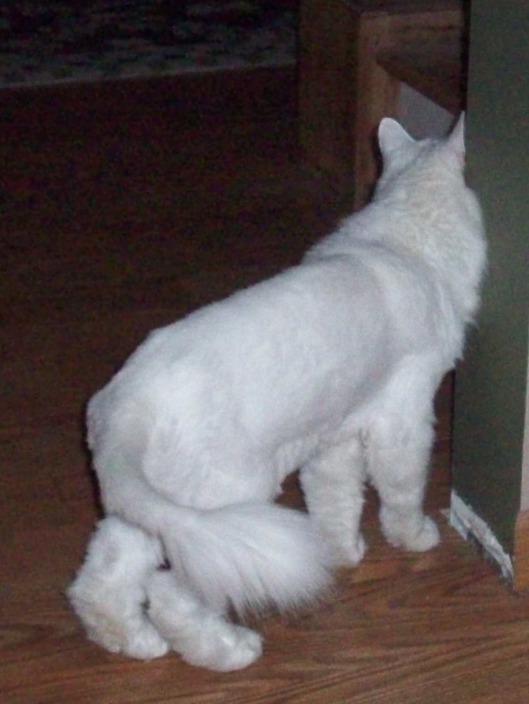 100_6032.JPG