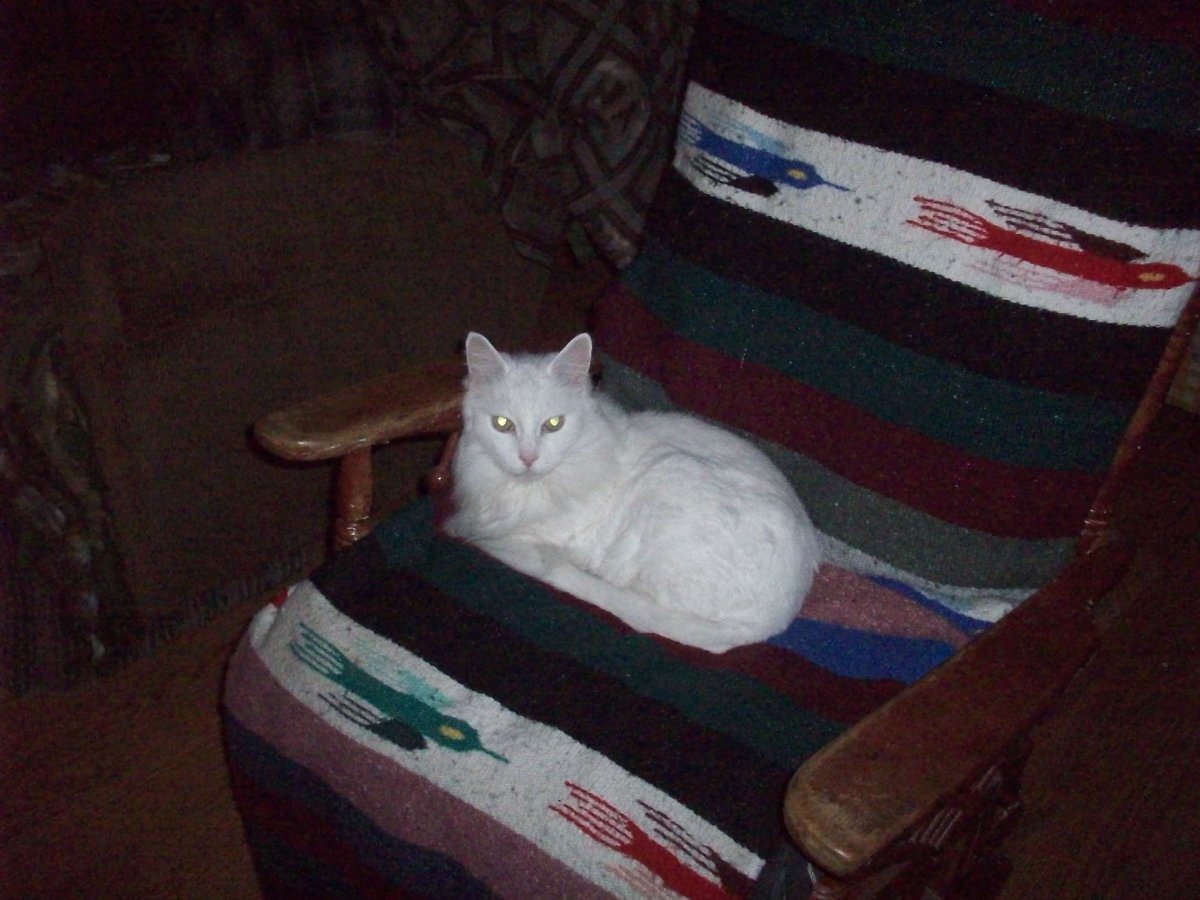 100_6034.JPG