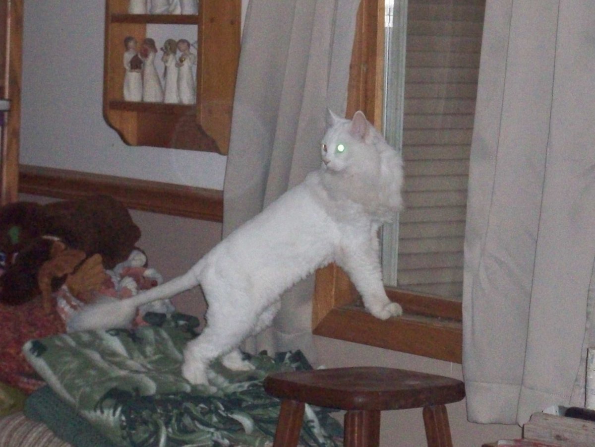 100_6036.JPG