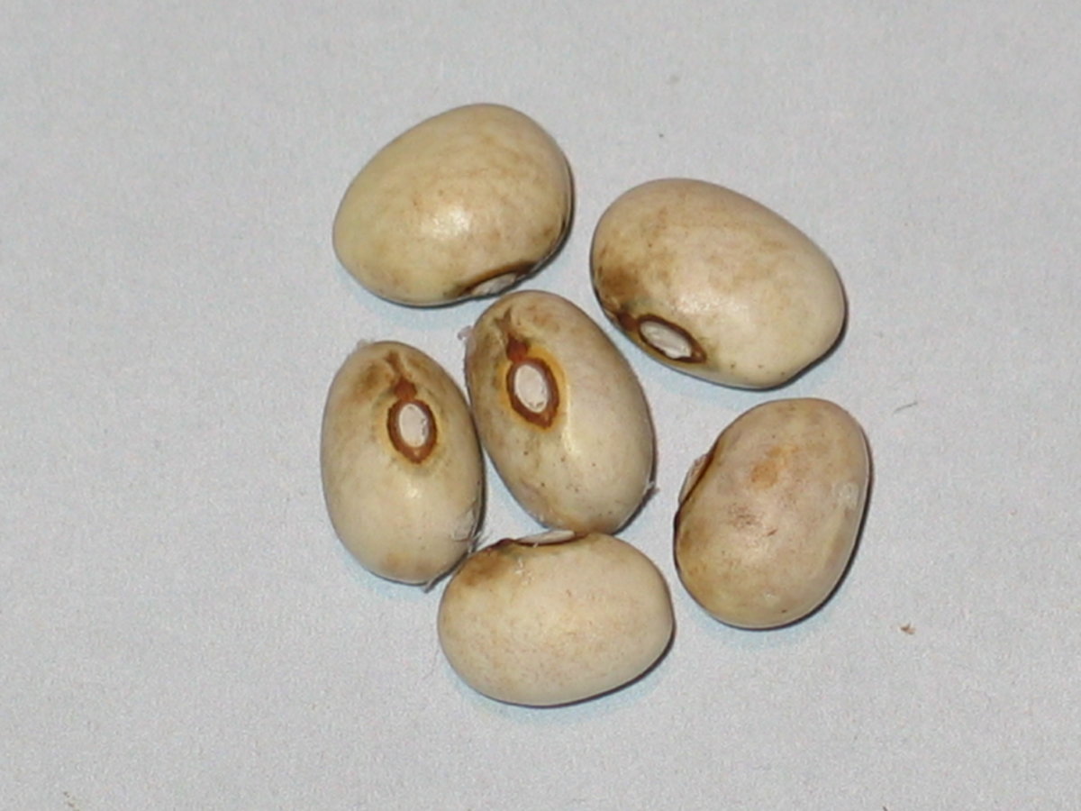 #11 - 00A-03D-#2.jpg