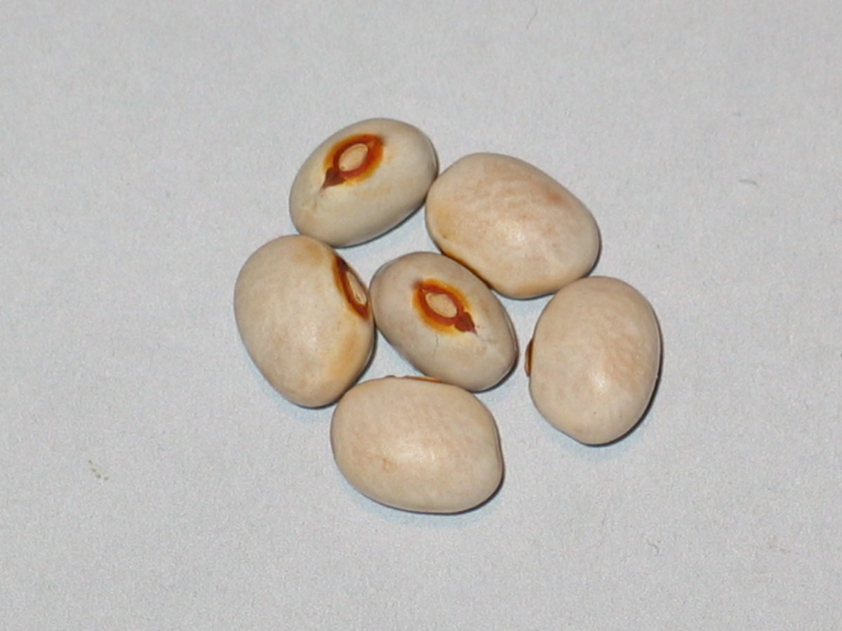 #11 - 00A-03D-#3.jpg