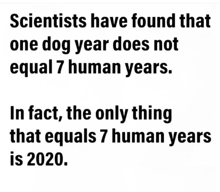 115818422_10217712242219607_5446887061979483460_n.jpg