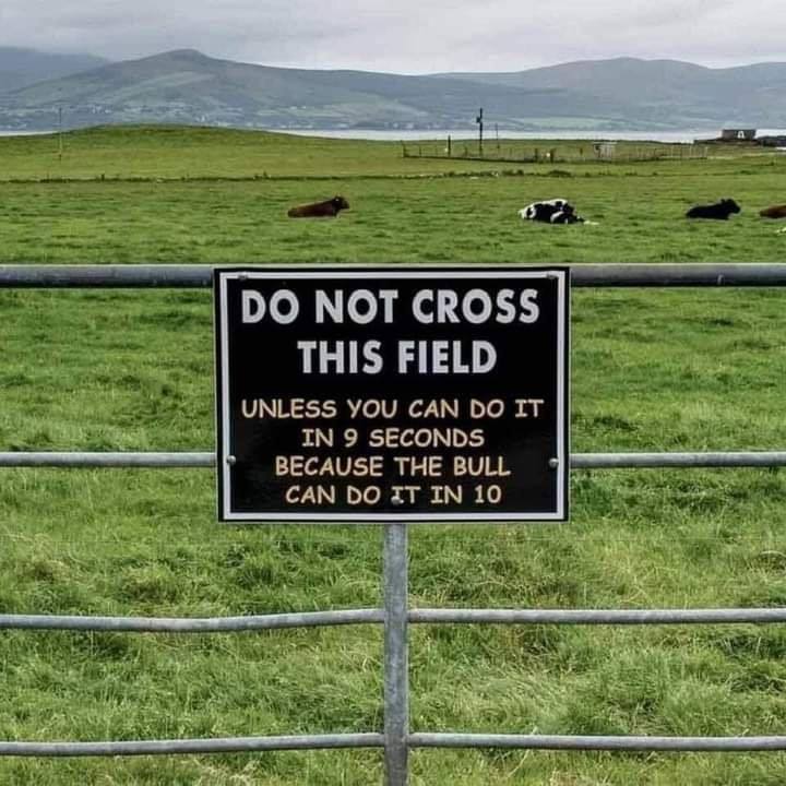 116996504_164637358463347_5766735167694546221_n.jpg