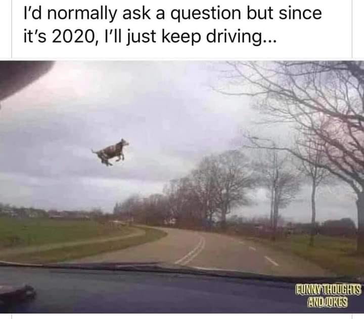 119239598_10160537961679657_5096176564884496652_n.jpg