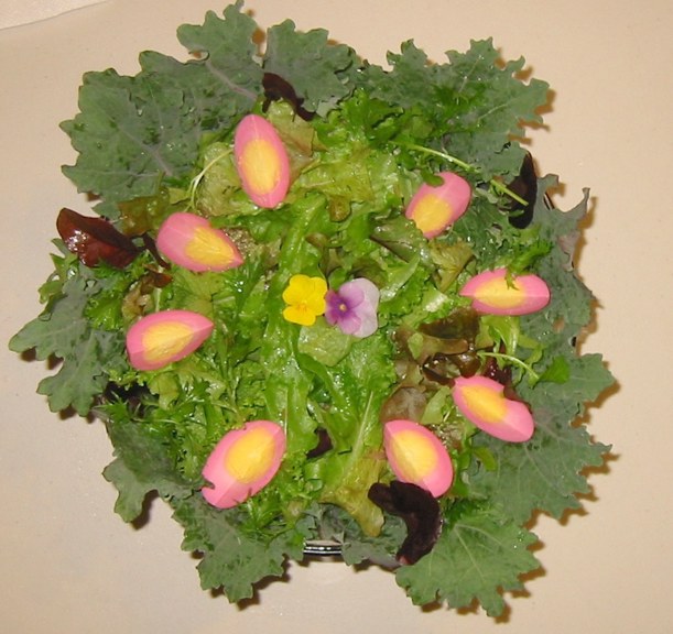 12 28 2013 Piclkled egg salad  002 email.JPG
