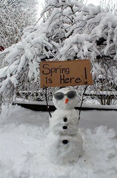 12de6f226cb9fa95d8cfb767dcbc3a77--winter-fun-winter-snow.jpg