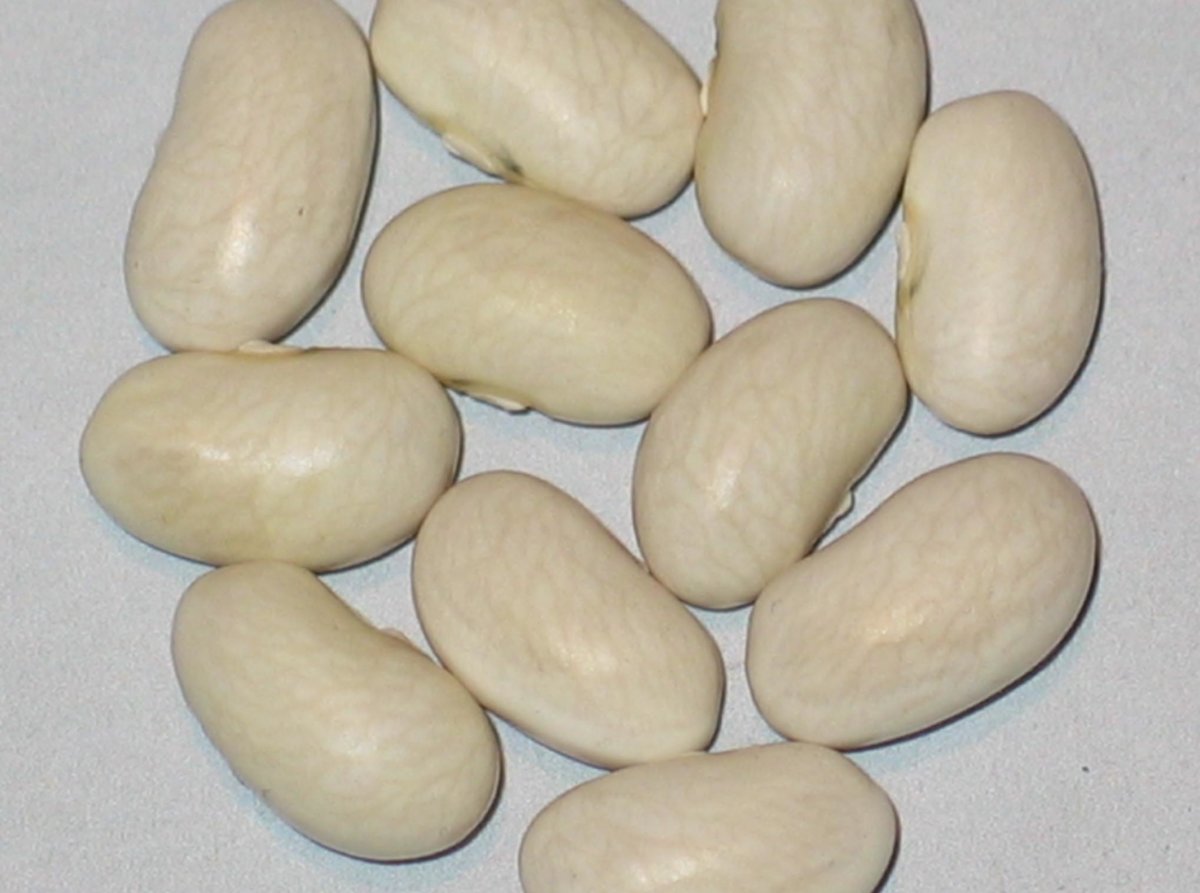 #15 - SUXYeE - White.jpg