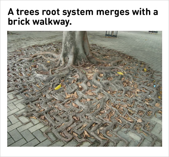 1582147804624.png