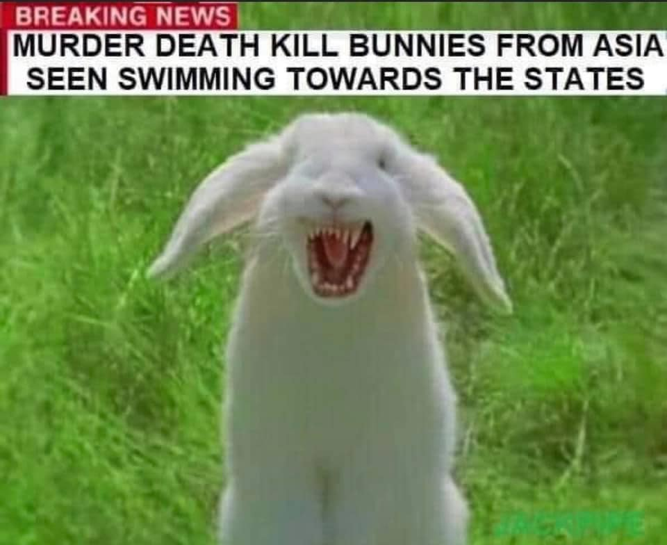 1588896715801.png