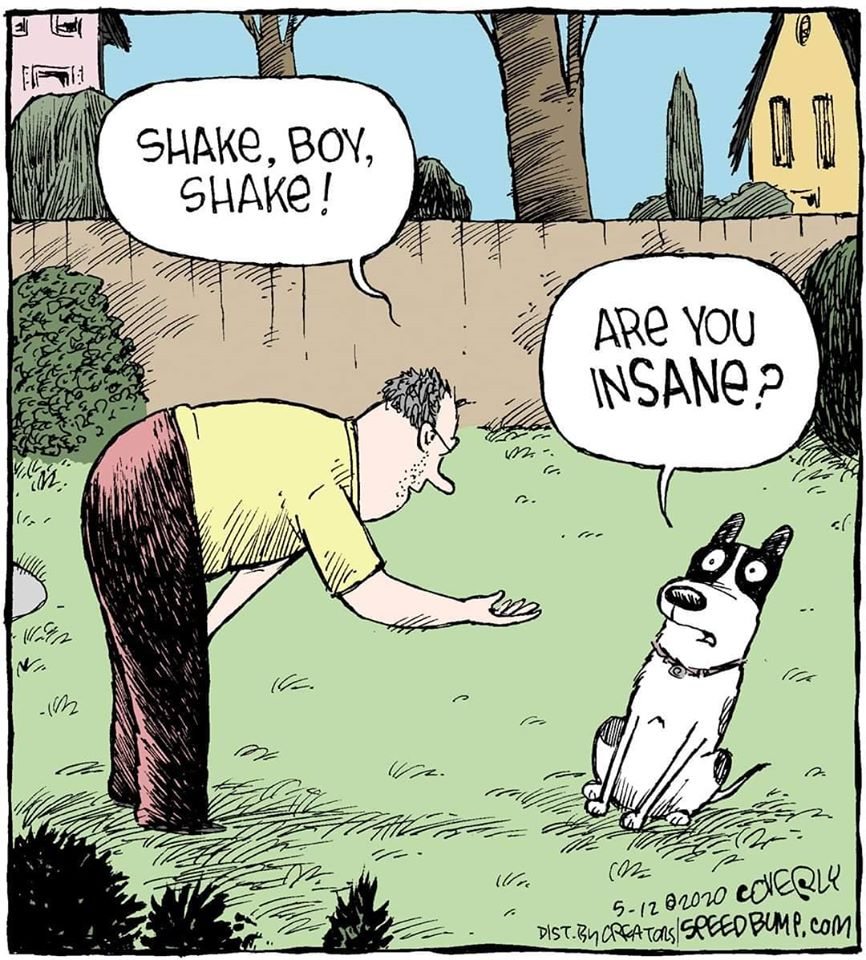 1589389708705.png