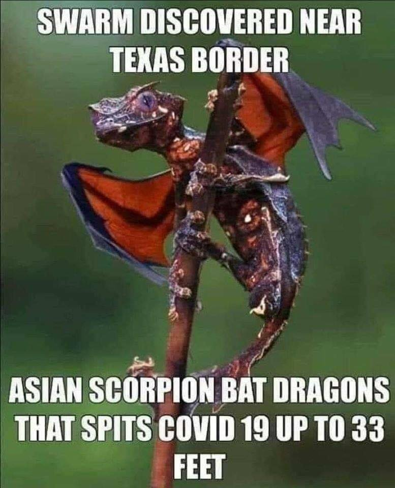 1595560356546.png