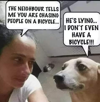 1605767856638.png