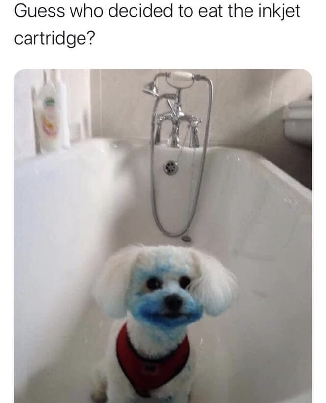 1606542387977.png