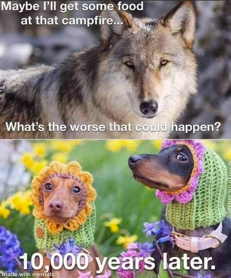 1606885342916.png