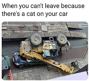1606885847146.png