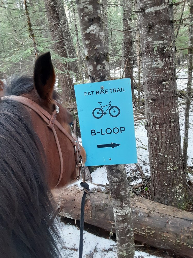 1610067230050.jpeg