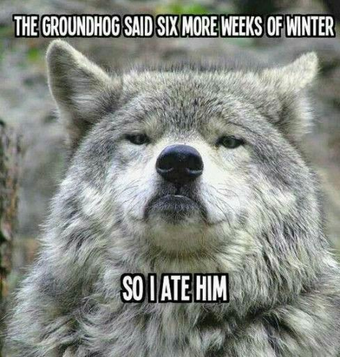 1612382869502.png