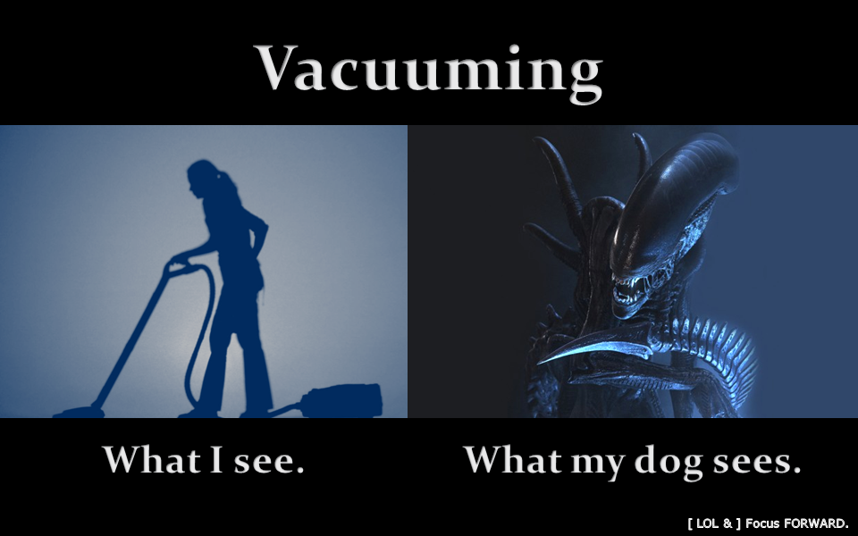 1613448664088.png