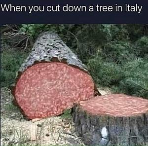 1613517329727.png