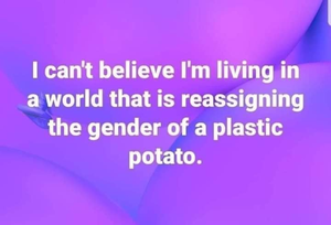 1614663479704.png