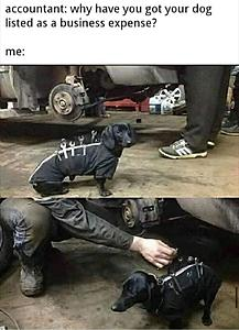 1614818367007.png